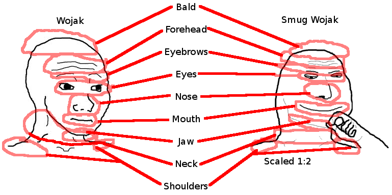 Detailed facial feature comparison diagram between original Wojak and Smug Wojak showing anatomical differences